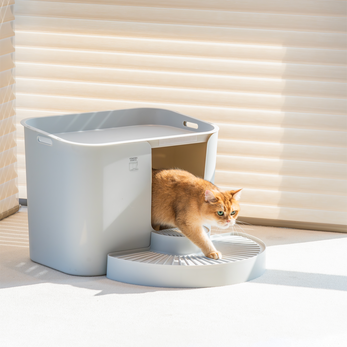 二層式の巨大猫用トイレ